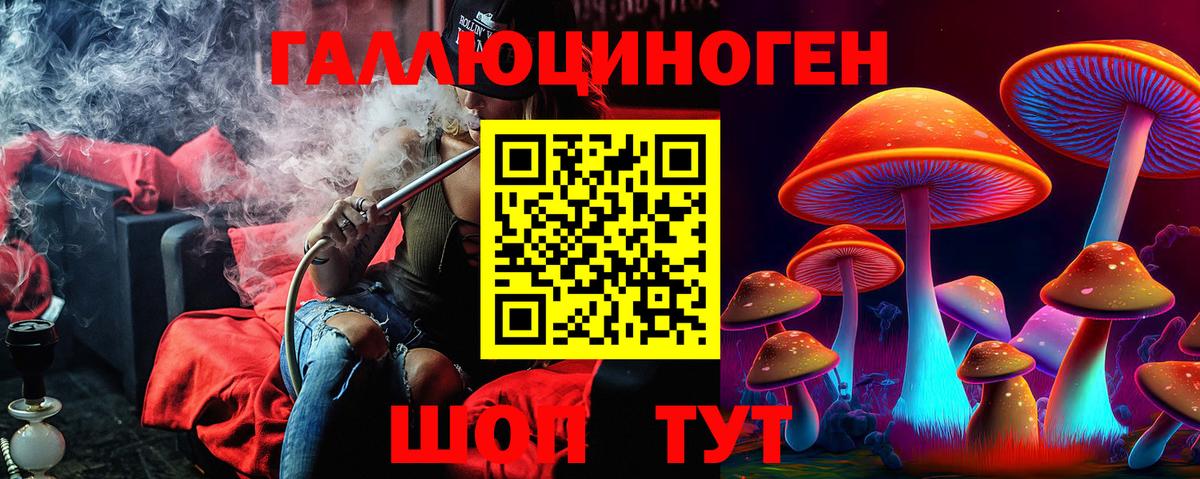 Галлюциногенные грибы MAGIC MUSHROOMS  Галлюциногенные грибы Psilocybine cubensis  Вход с VPN  Амурск 