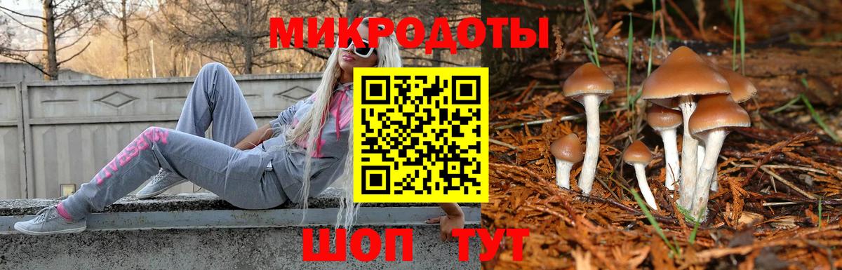 Галлюциногенные грибы мухоморы Амурск
